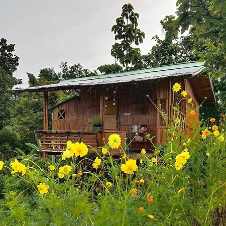 Baan 2 Dao Farmstay Chiang Dao Extérieur photo